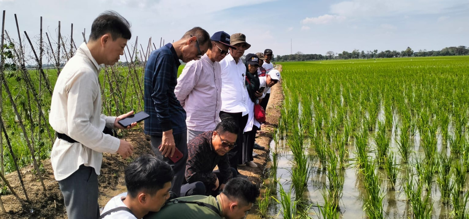 Potensi Pertanian Organik / Agroekologi